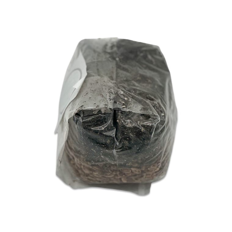 1LB All-in-One Dung Master Grow Bag - Image 2
