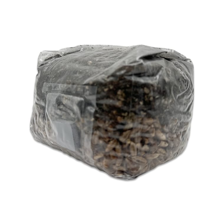 1LB All-in-One Dung Master Grow Bag - Image 3