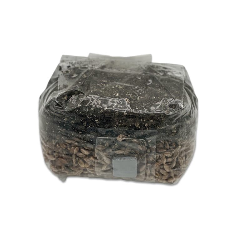 1LB All-in-One Dung Master Grow Bag