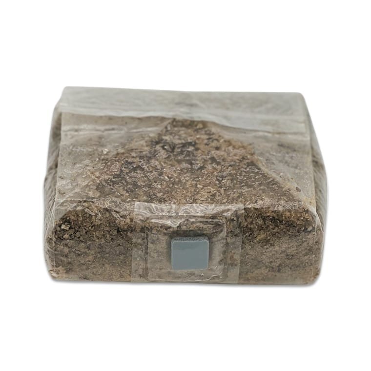 1 LB Inject & Forget BRF Grow Bag