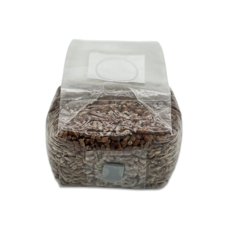 1LB Rivalry Grain : Compact Rye Grain Bag with Injection Port