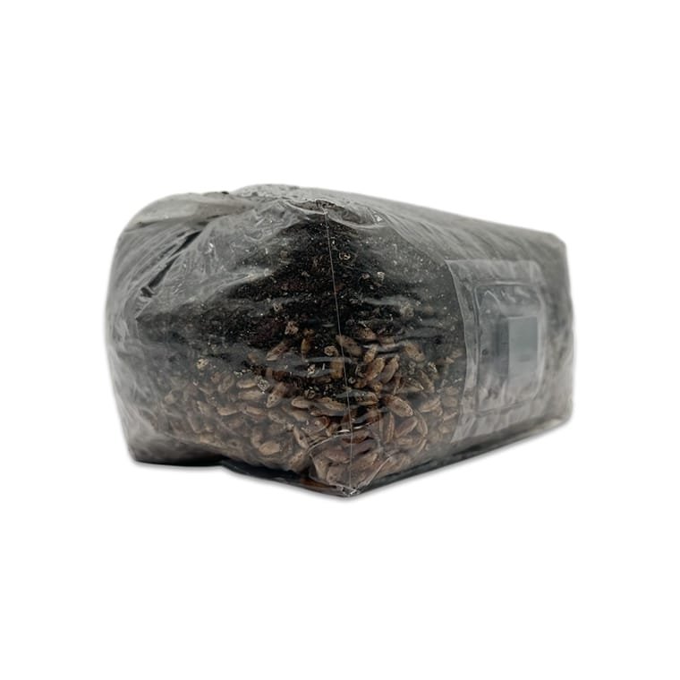 2 lb All-in-One Dung Master Grow Bag - Image 3