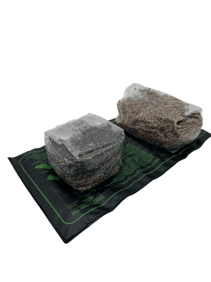 Mushroom Cultivator Heat Pad - Image 4