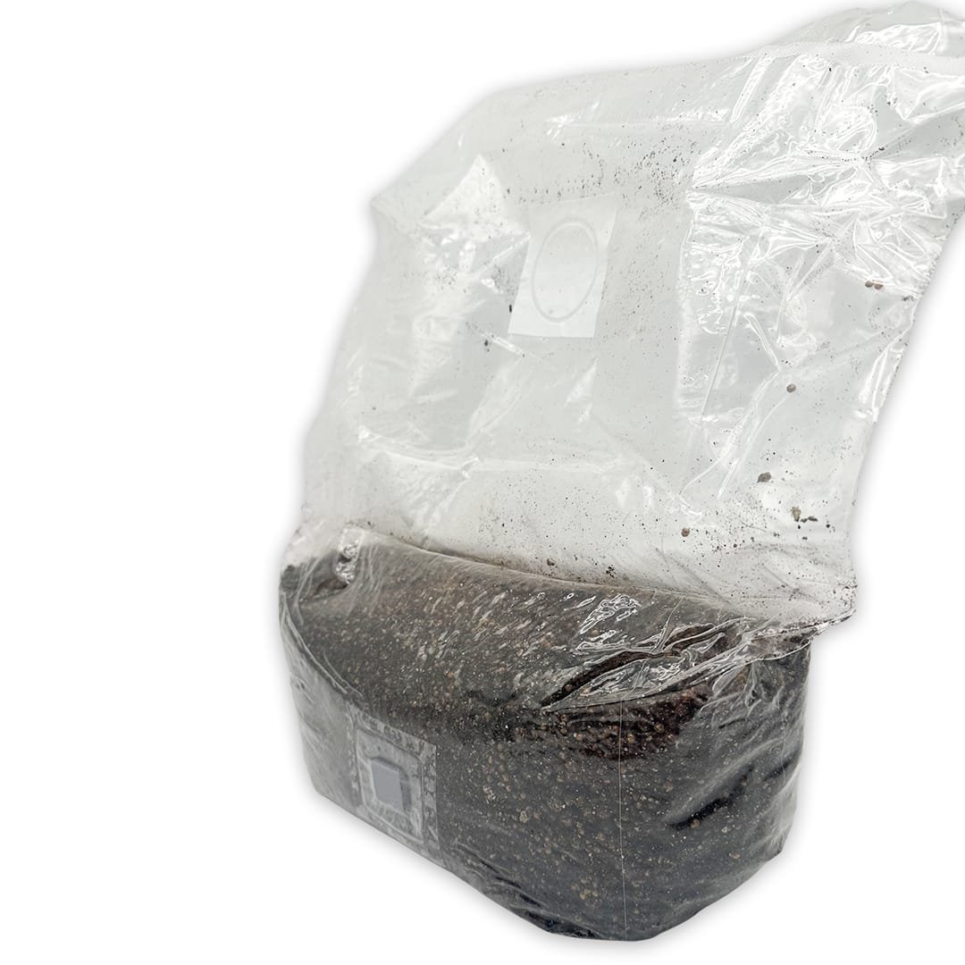 All-In-One Mushbag Kit (4LB) – Instructions Included - Image 2